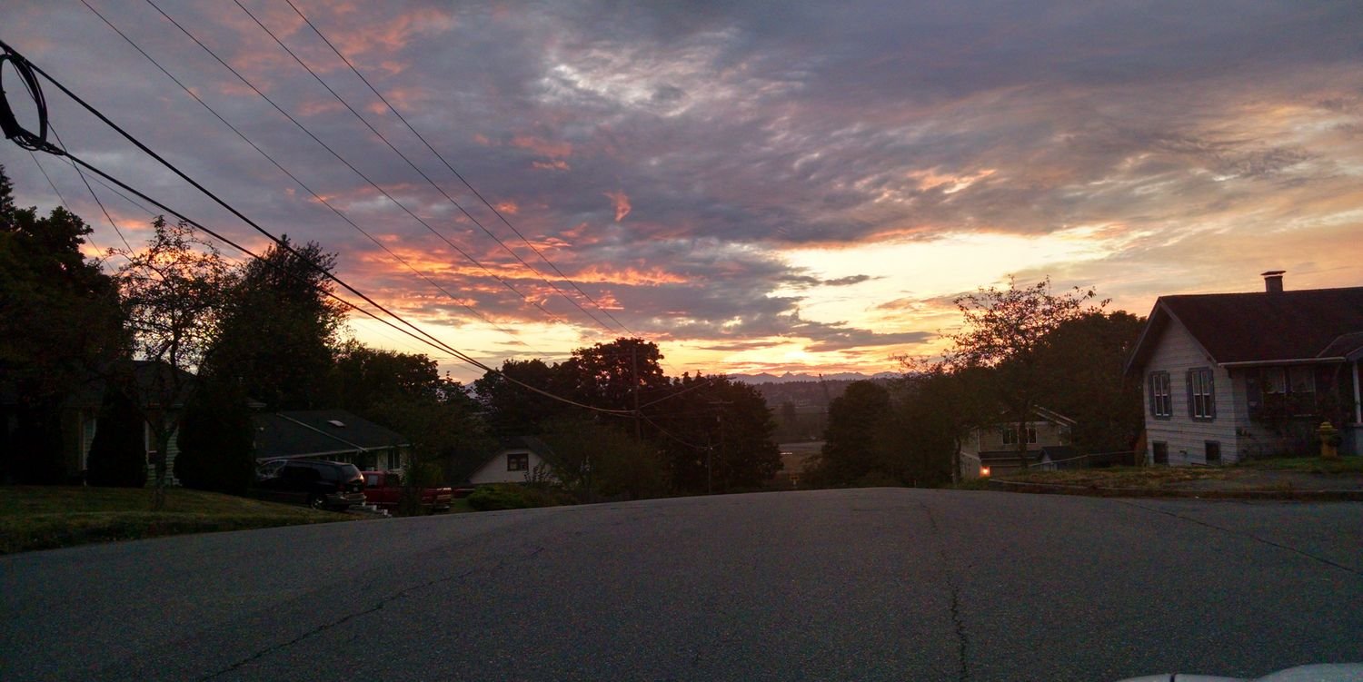 willits_mary's profile banner image