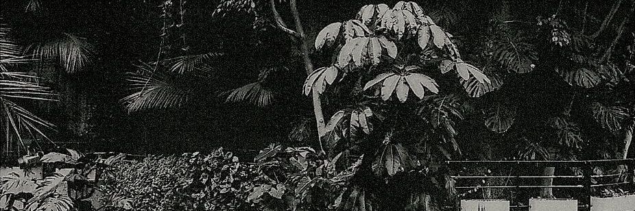 SRA4EVA's profile banner image