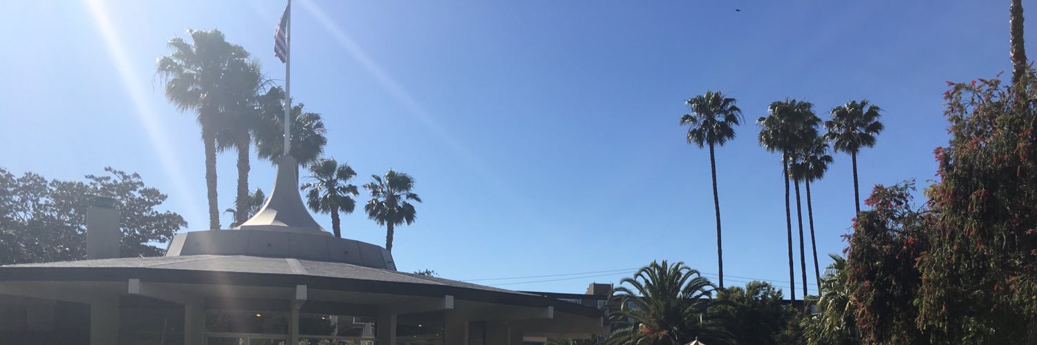 Danielle Radin banner