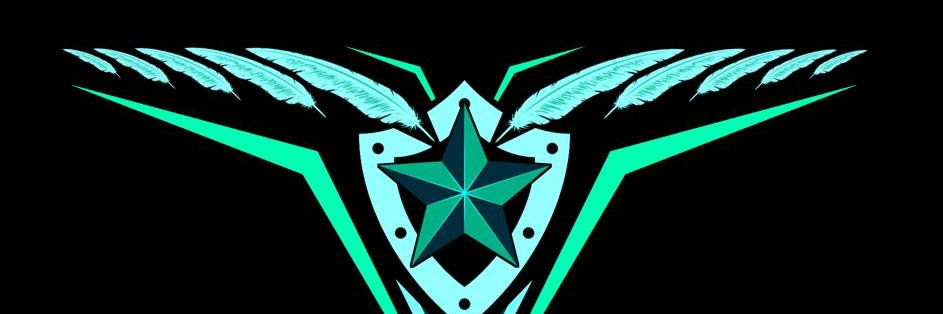 dronstad1's profile banner image