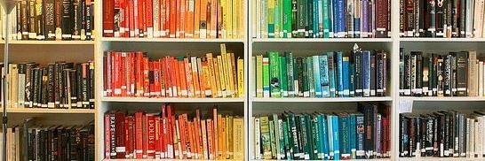 Morgen Larsen banner