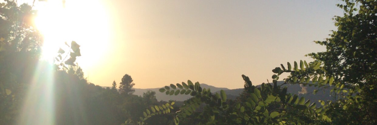 Aroaabio8's profile banner image