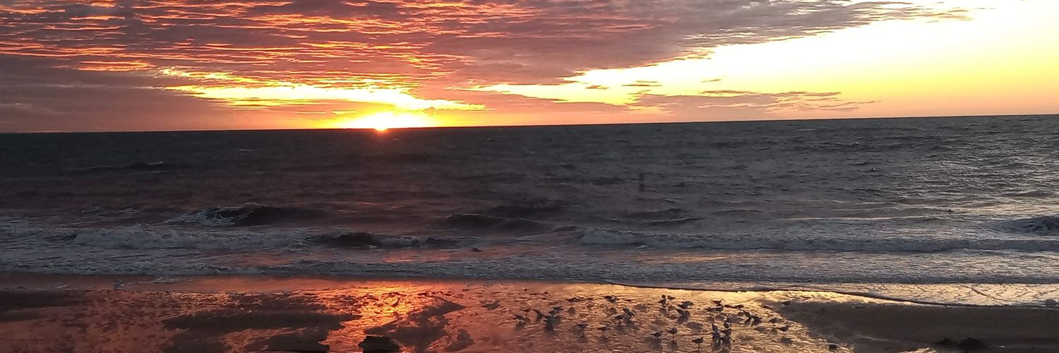 AimeLopez14's profile banner image