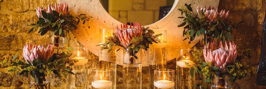 Donna Beaver 💙 banner