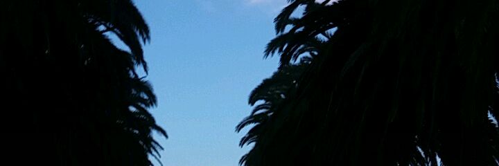 dinofauria14's profile banner image