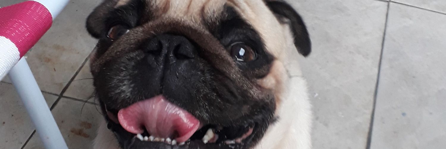 emymartinss_'s profile banner image