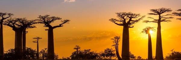 JAQuesadaCoves Profile Banner