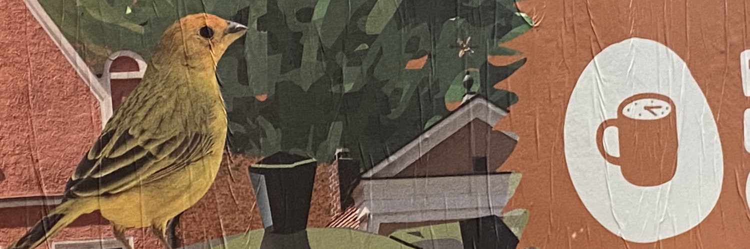 bellains_'s profile banner image