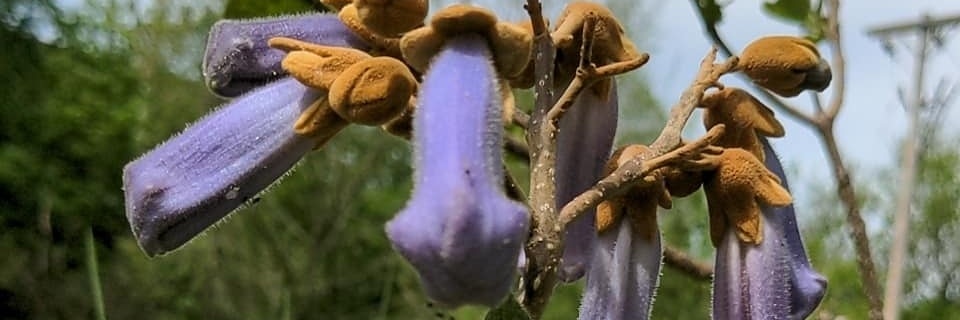 e_steorts's profile banner image
