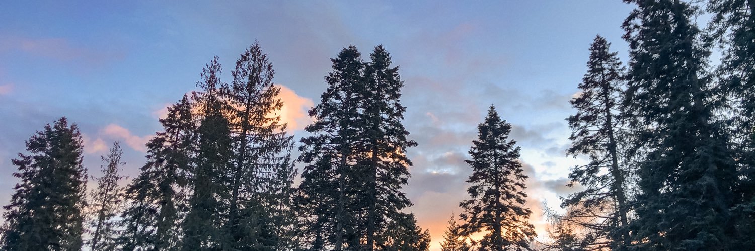 ashleyjeevan's profile banner image