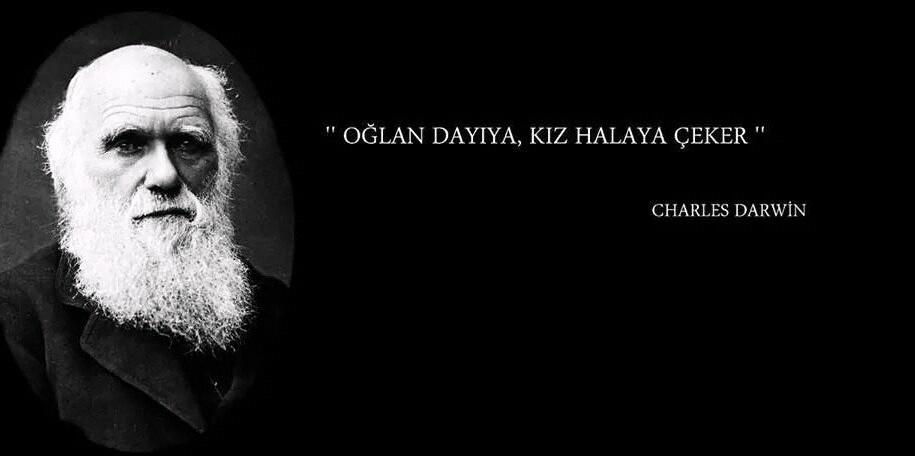 zeliha_yucel's profile banner image