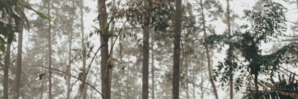 nelldamm Profile Banner