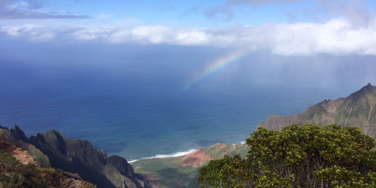 Michael Sean Kelley banner