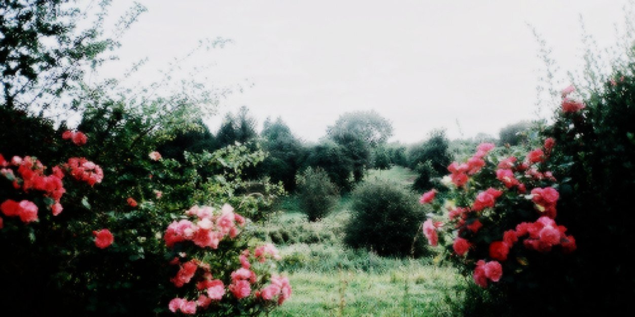 xZaynOwnsMe's profile banner image