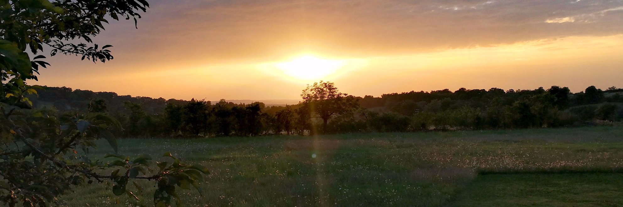 Bastien Hô 🌻 banner