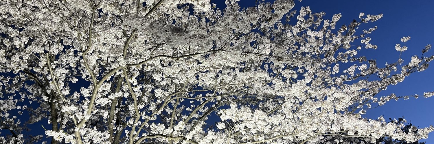 57Noa's profile banner image