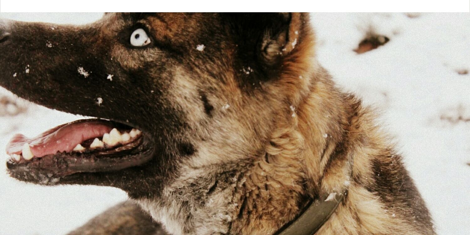 Albafndz's profile banner image
