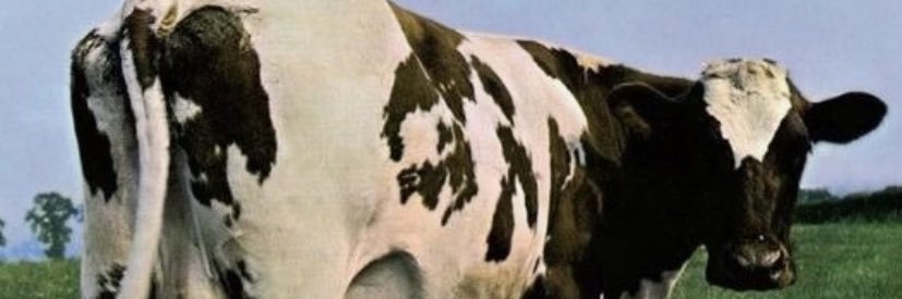 sadgeise's profile banner image
