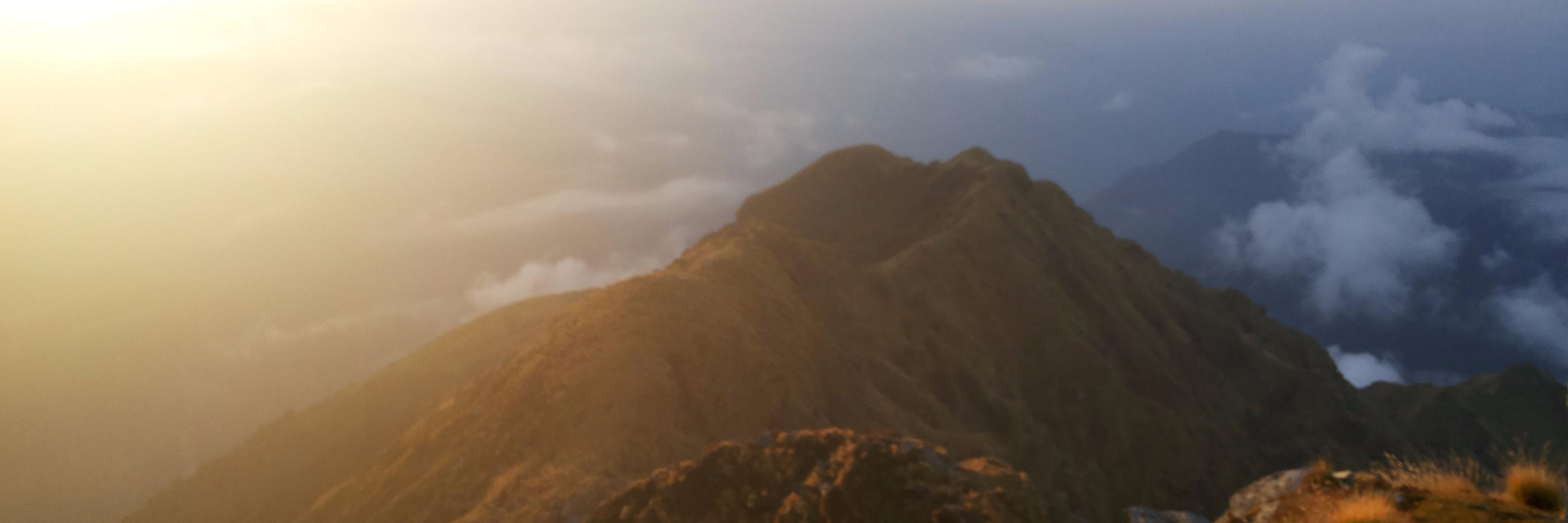 AnuTwee's profile banner image