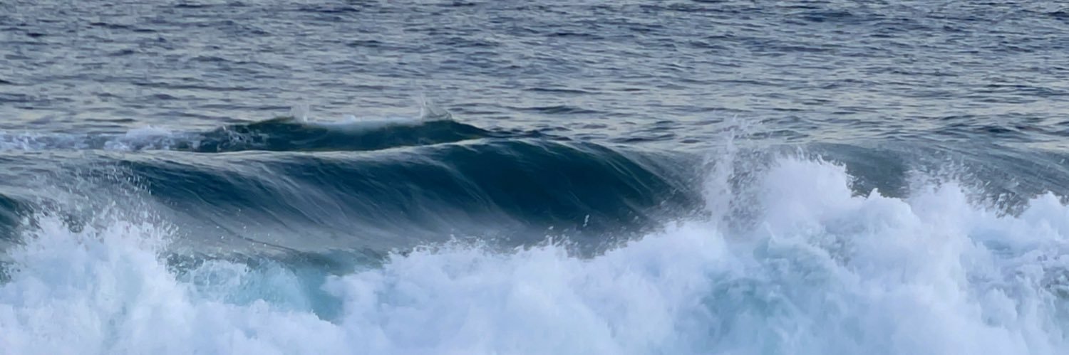 🌊💙𝒥𝑒𝓃𝓃𝒾𝒻𝑒𝓇 𝒢𝑜𝓃𝓏𝒶𝓁𝑒𝓏 𝒮📚🌺 banner