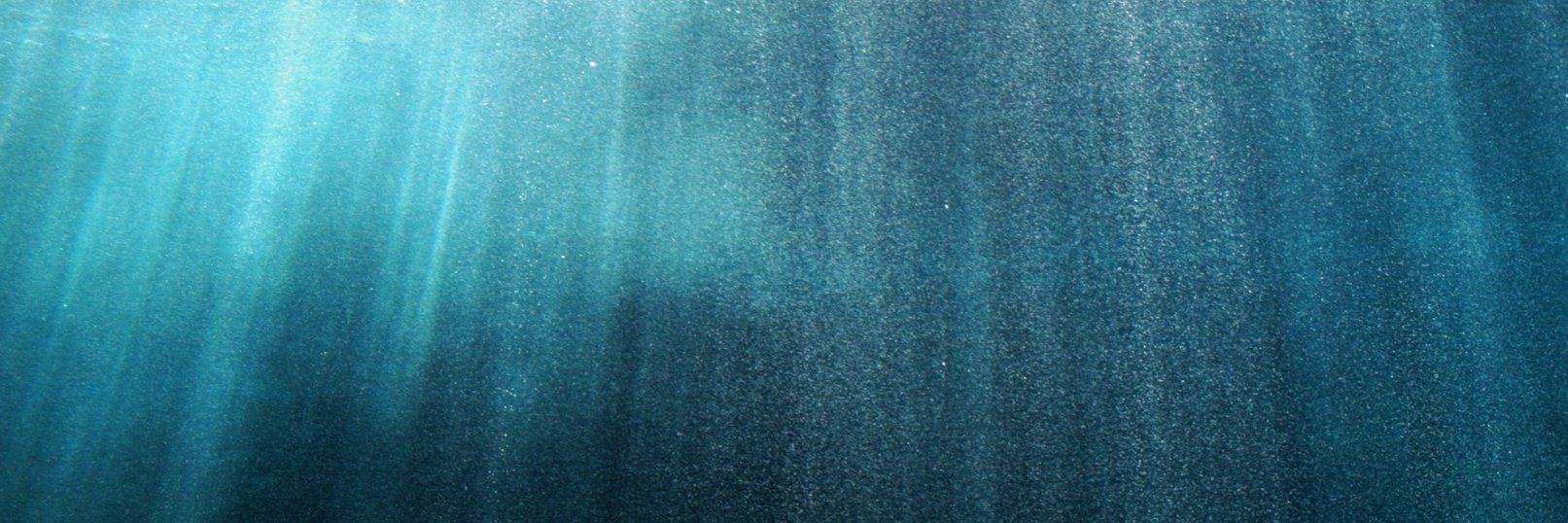 Audio_Aquarium's profile banner image