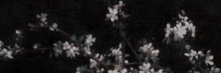 Andy_shawty's profile banner image