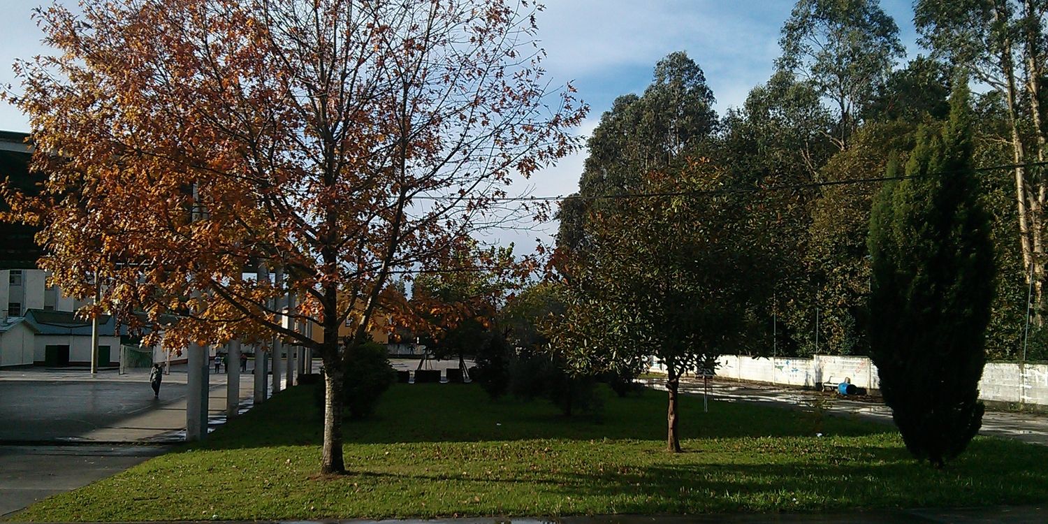 CPIdoPichel's profile banner image
