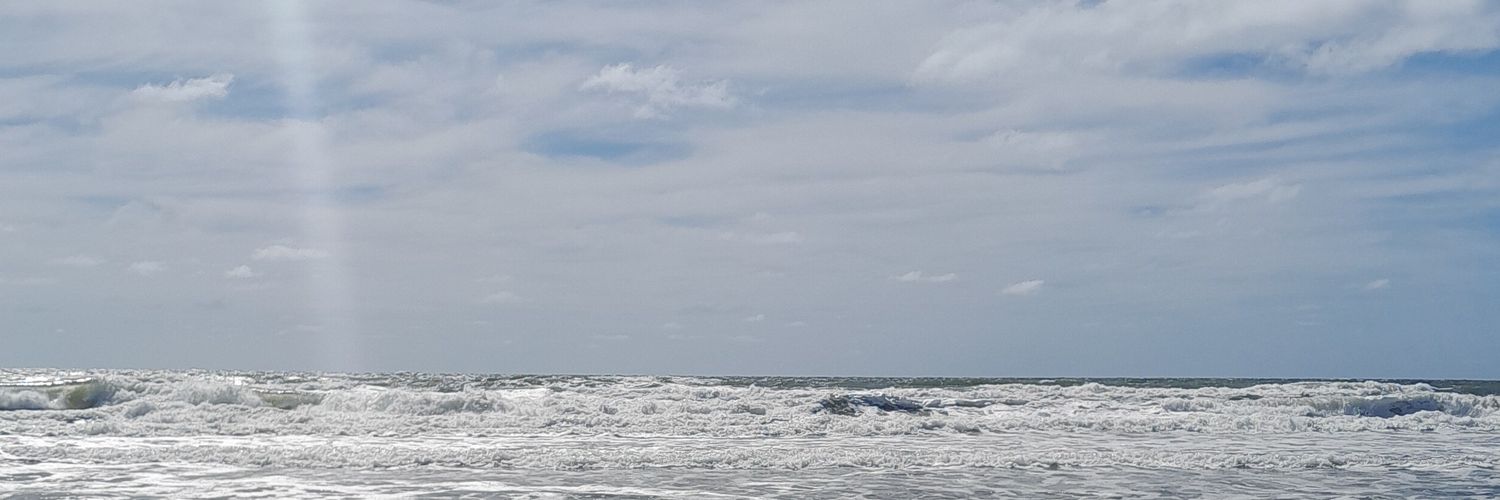 tizianaramirez_'s profile banner image