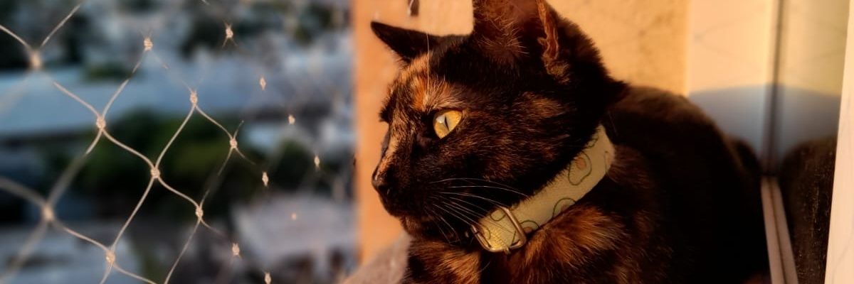 MargariaLu's profile banner image