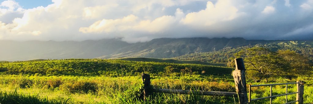 Kathryn Fletcher banner