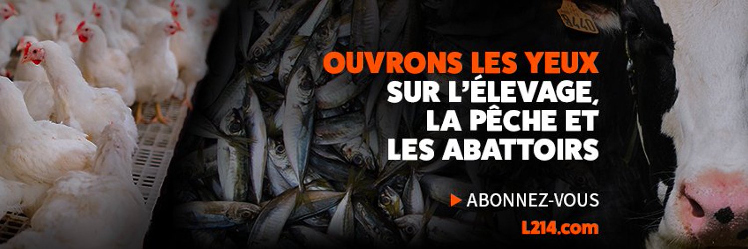 L214 éthique & animaux banner