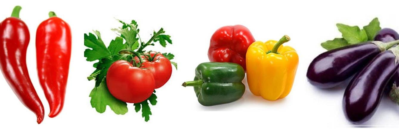 OYESKAGREENS's profile banner image