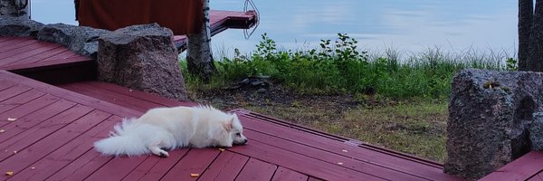 cr33pyguy Profile Banner