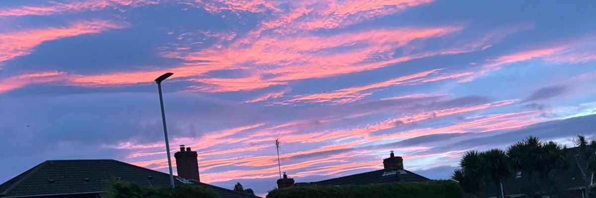 Alyson Wilson banner