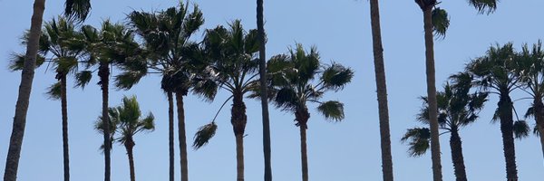 sistercodefilm Profile Banner