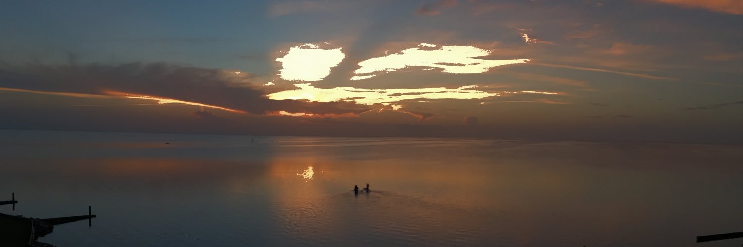 mollcasey's profile banner image