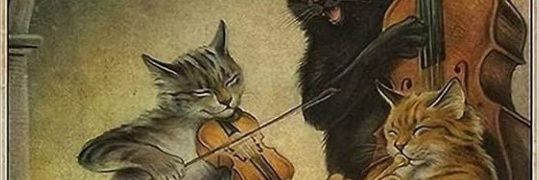 AkselTorgard's profile banner image
