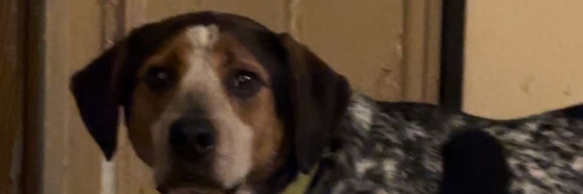 treygray66's profile banner image