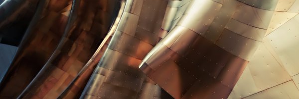 ze Profile Banner