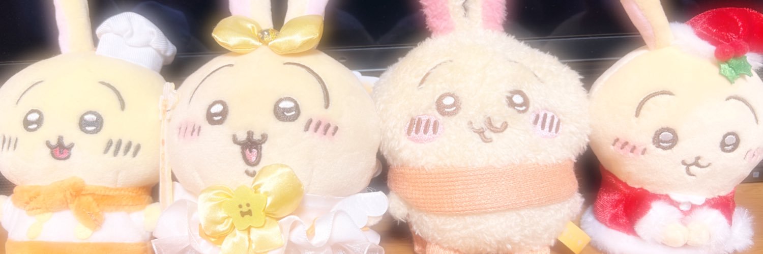 ぴこ🐥 banner