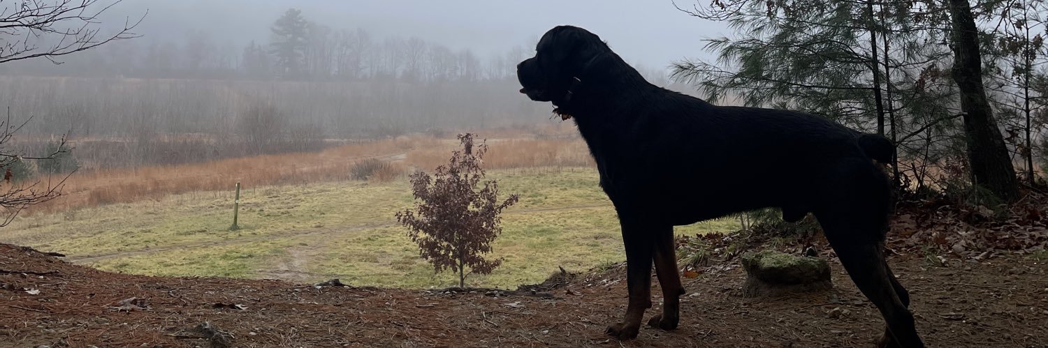 GoodLennysMom's profile banner image