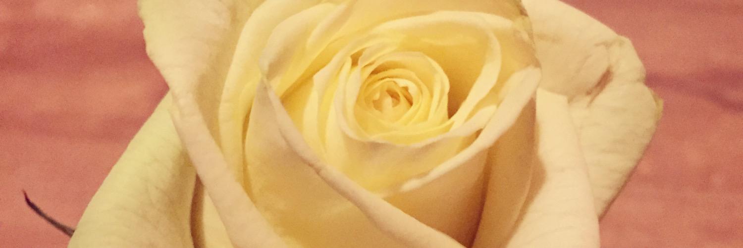 uchee8y's profile banner image