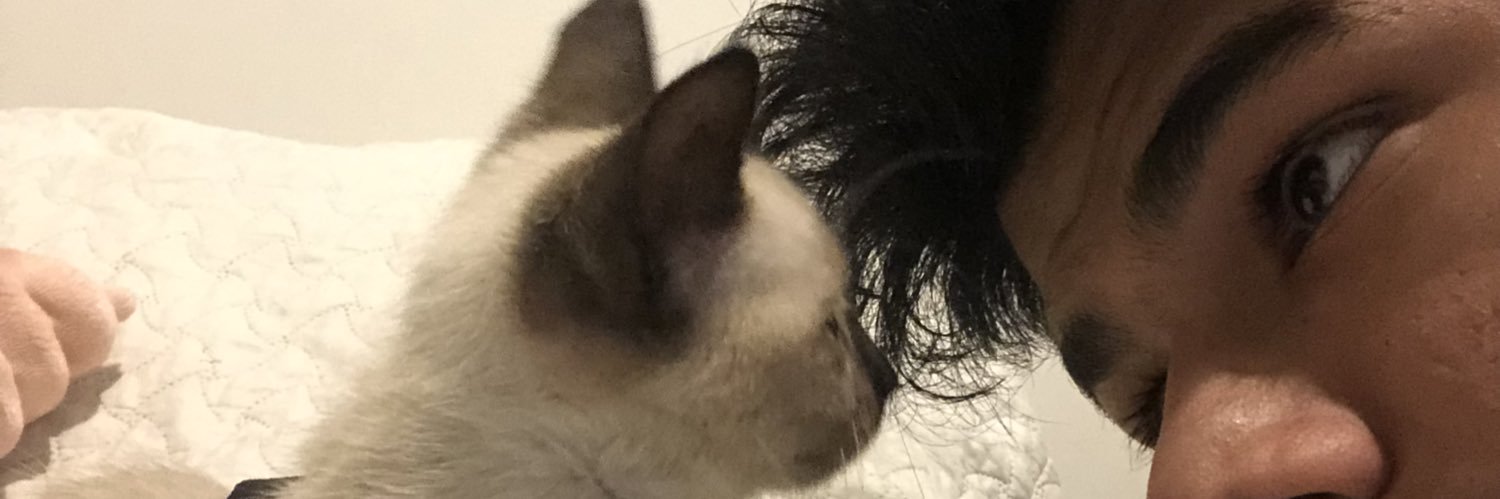 RAPHAELPAIVA19's profile banner image