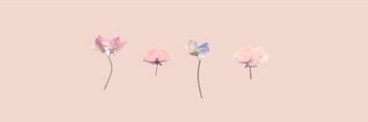 manuelahza's profile banner image