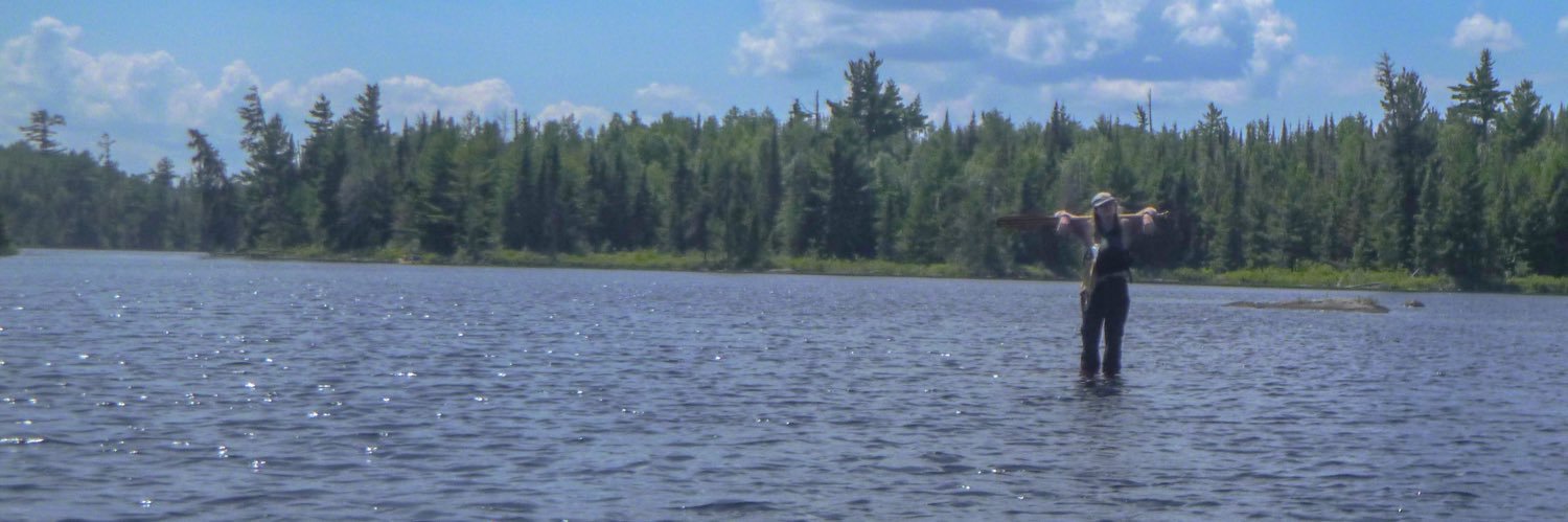 bridggraham's profile banner image