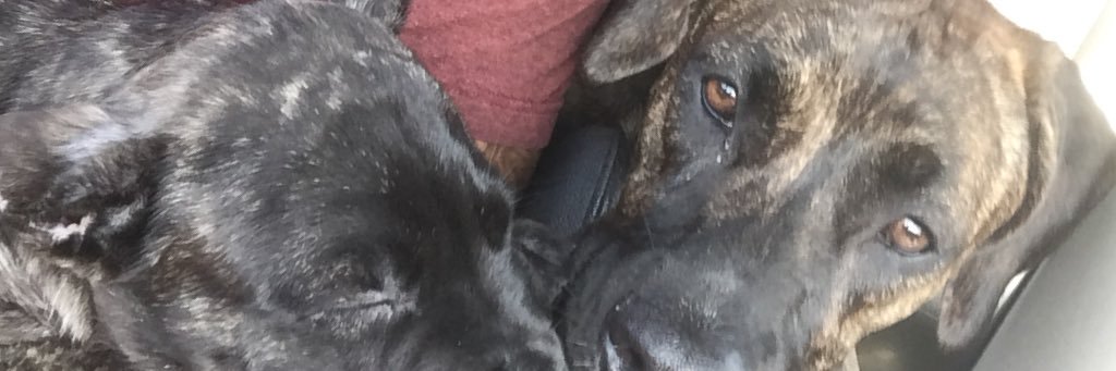 _kthacker's profile banner image