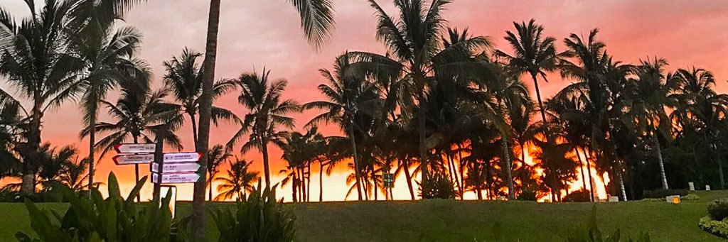 jdaggie35's profile banner image