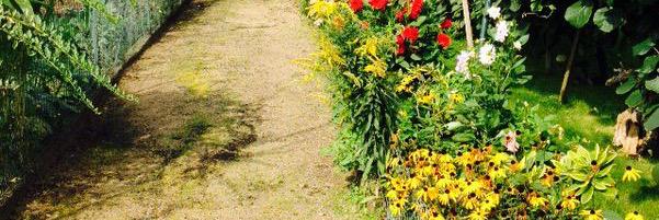 siham_za's profile banner image
