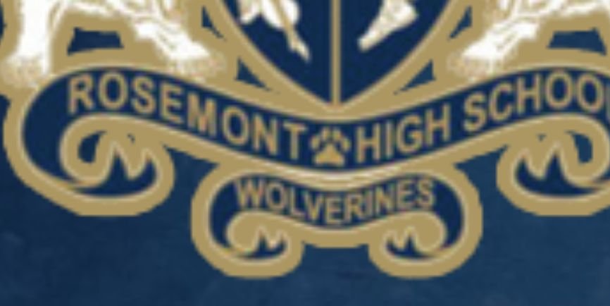 Rosemonthigh1's profile banner image