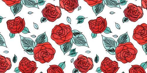 holacalpal's profile banner image